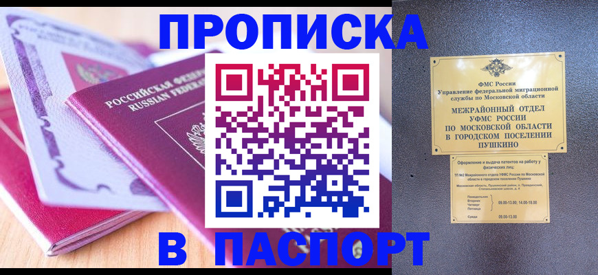 прописка законно в Михайлове